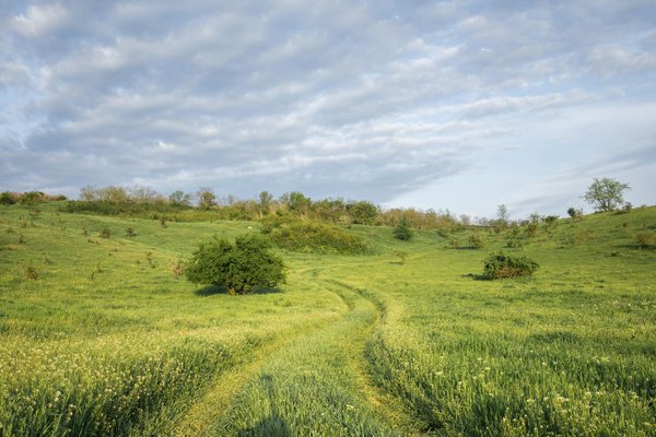 Les villes les plus accueillantes du monde