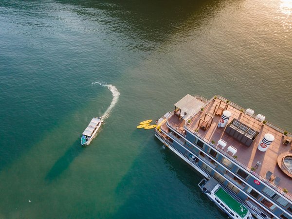 Eco-tourisme : Découverte de la faune et la flore lors d'une croisière d'aventure